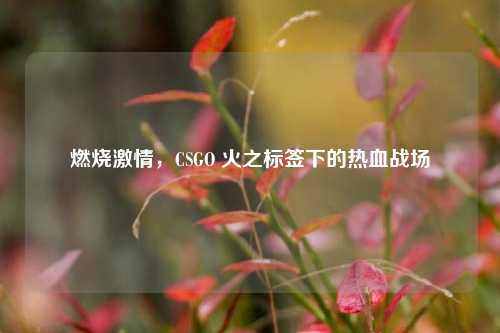 燃烧激情，CSGO 火之标签下的热血战场