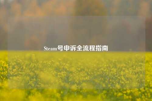 Steam号申诉全流程指南