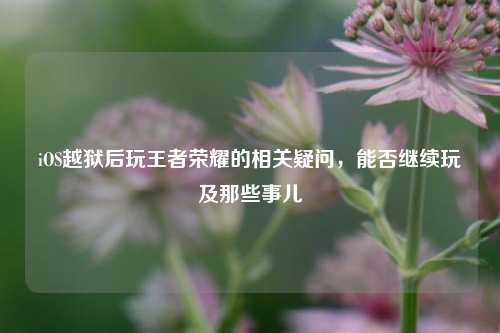 iOS越狱后玩王者荣耀的相关疑问，能否继续玩及那些事儿