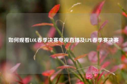 如何观看LOL春季决赛电视直播及LPL春季赛决赛
