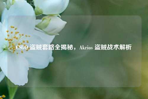 CSGO 盗贼套路全揭秘，Akrios 盗贼战术解析
