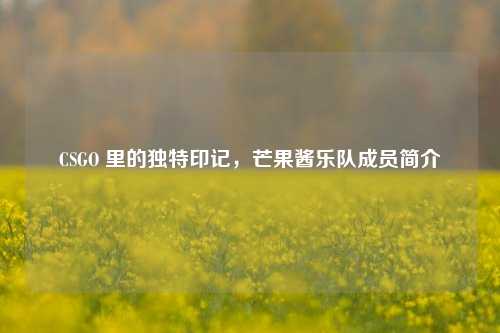 CSGO 里的独特印记，芒果酱乐队成员简介