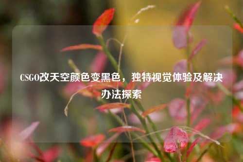 CSGO改天空颜色变黑色，独特视觉体验及解决办法探索