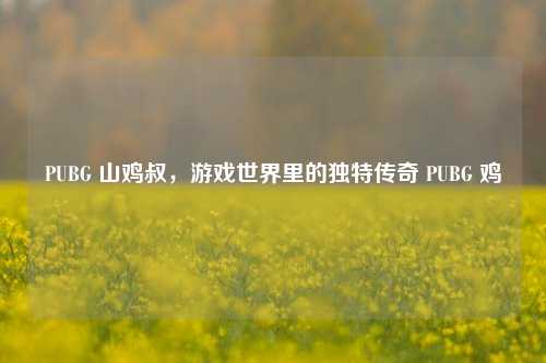 PUBG 山鸡叔，游戏世界里的独特传奇 PUBG 鸡
