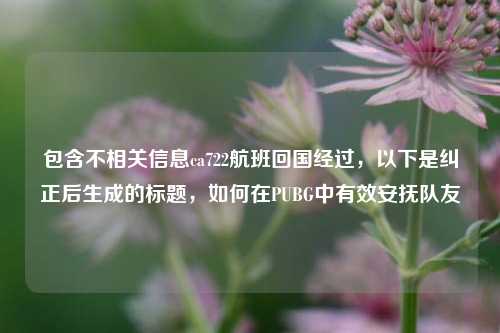 包含不相关信息ca722航班回国经过，以下是纠正后生成的标题，如何在PUBG中有效安抚队友
