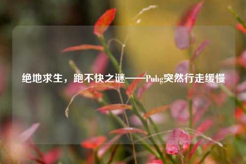 绝地求生，跑不快之谜——Pubg突然行走缓慢