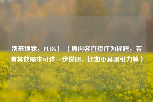 别来烦我，PUBG！ （原内容直接作为标题，若有其他需求可进一步说明，比如更具吸引力等）
