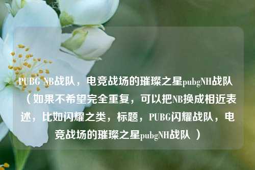 PUBG NB战队，电竞战场的璀璨之星pubgNH战队 （如果不希望完全重复，可以把NB换成相近表述，比如闪耀之类，标题，PUBG闪耀战队，电竞战场的璀璨之星pubgNH战队 ）
