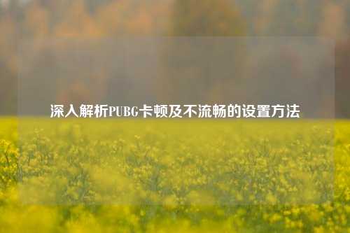 深入解析PUBG卡顿及不流畅的设置方法