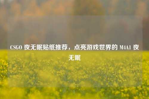 CSGO 夜无眠贴纸推荐，点亮游戏世界的 M4A1 夜无眠