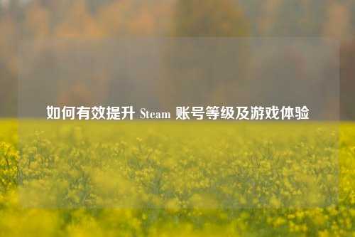 如何有效提升 Steam 账号等级及游戏体验