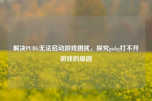 解决PUBG无法启动游戏困扰，探究pubg打不开游戏的原因