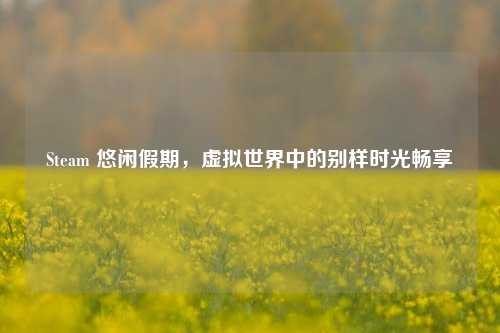 Steam 悠闲假期，虚拟世界中的别样时光畅享