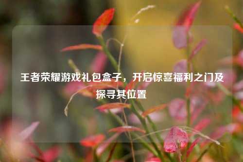 王者荣耀游戏礼包盒子，开启惊喜福利之门及探寻其位置