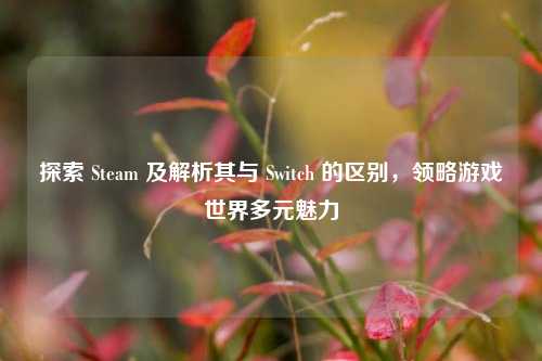 探索 Steam 及解析其与 Switch 的区别，领略游戏世界多元魅力