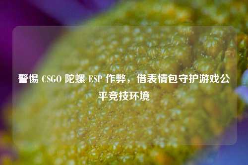 警惕 CSGO 陀螺 ESP 作弊，借表情包守护游戏公平竞技环境