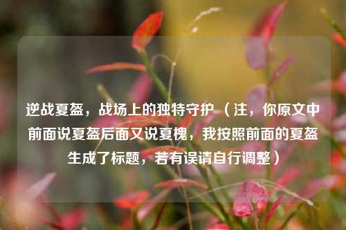 逆战夏盔，战场上的独特守护 （注，你原文中前面说夏盔后面又说夏槐，我按照前面的夏盔生成了标题，若有误请自行调整）