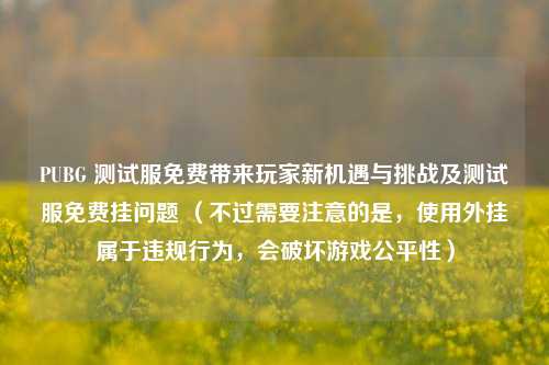 PUBG 测试服免费带来玩家新机遇与挑战及测试服免费挂问题 （不过需要注意的是，使用外挂属于违规行为，会破坏游戏公平性）