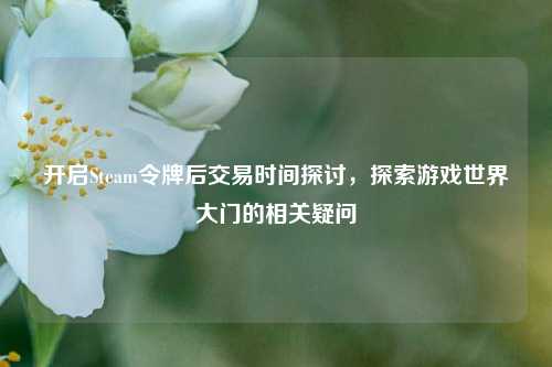 开启Steam令牌后交易时间探讨，探索游戏世界大门的相关疑问