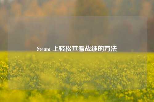 Steam 上轻松查看战绩的方法