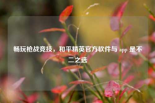 畅玩枪战竞技，和平精英官方软件与 app 是不二之选