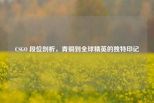 CSGO 段位剖析，青铜到全球精英的独特印记