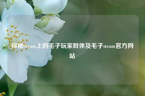 探秘Steam上的毛子玩家群体及毛子steam官方网站