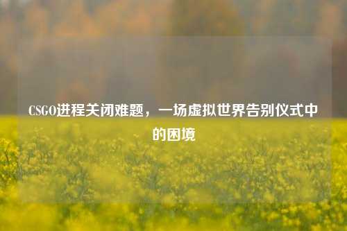 CSGO进程关闭难题，一场虚拟世界告别仪式中的困境