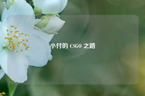 小付的 CSGO 之路