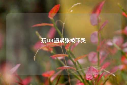 玩LOL遇紧张被吓哭