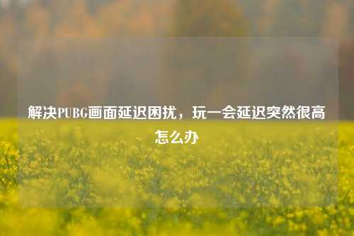 解决PUBG画面延迟困扰，玩一会延迟突然很高怎么办