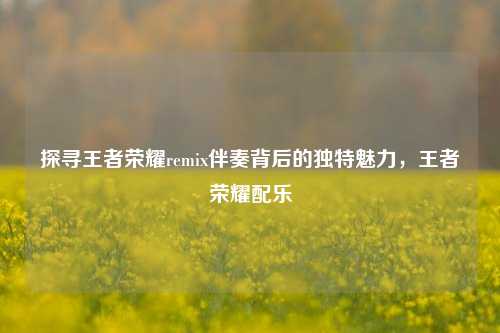 探寻王者荣耀remix伴奏背后的独特魅力，王者荣耀配乐