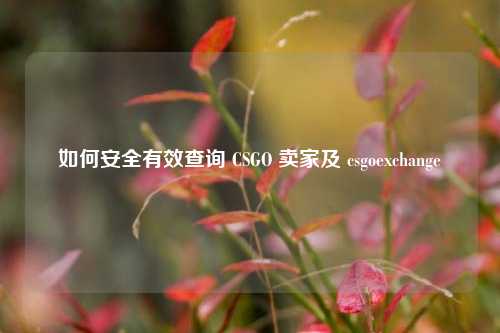 如何安全有效查询 CSGO 卖家及 csgoexchange