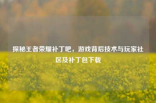 探秘王者荣耀补丁吧，游戏背后技术与玩家社区及补丁包下载