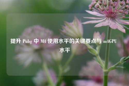 提升 Pubg 中 M4 使用水平的关键要点与 m4GPU 水平