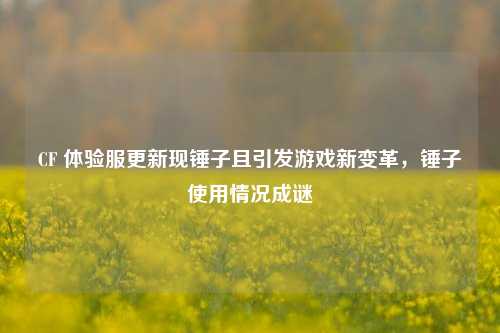 CF 体验服更新现锤子且引发游戏新变革，锤子使用情况成谜