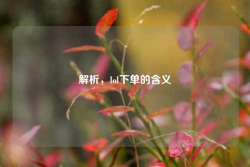 解析，lol下单的含义