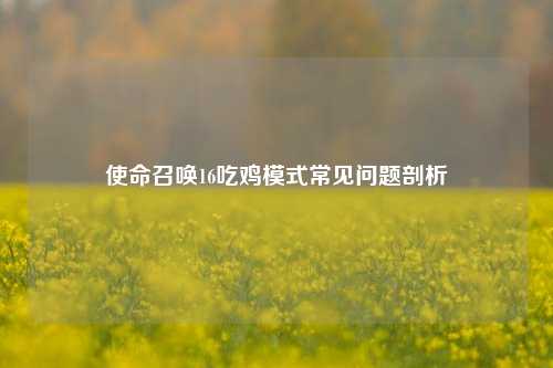 使命召唤16吃鸡模式常见问题剖析