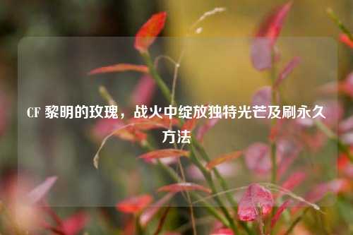 CF 黎明的玫瑰，战火中绽放独特光芒及刷永久方法