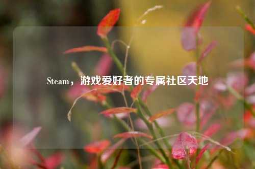 Steam，游戏爱好者的专属社区天地