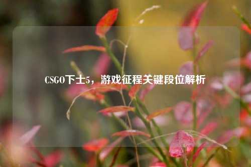 CSGO下士5，游戏征程关键段位解析