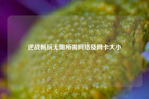 逆战畅玩无阻所需网络及网卡大小