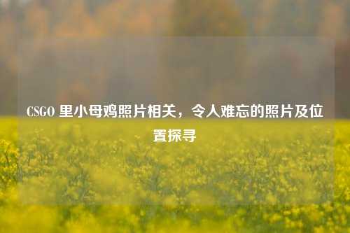 CSGO 里小母鸡照片相关，令人难忘的照片及位置探寻