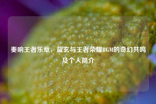 奏响王者乐章，蓝玄与王者荣耀BGM的奇幻共鸣及个人简介