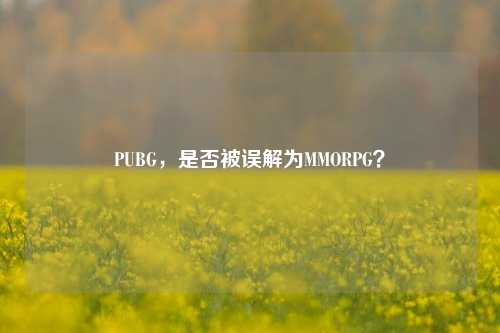 PUBG，是否被误解为MMORPG？