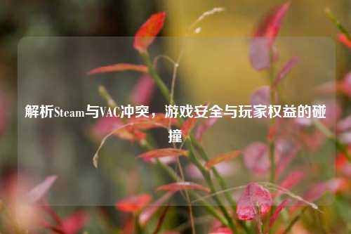 解析Steam与VAC冲突，游戏安全与玩家权益的碰撞
