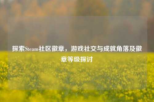 探索Steam社区徽章，游戏社交与成就角落及徽章等级探讨