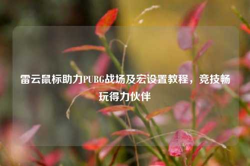 雷云鼠标助力PUBG战场及宏设置教程，竞技畅玩得力伙伴