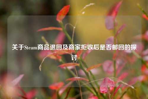 关于Steam商品退回及商家拒收后是否邮回的探讨