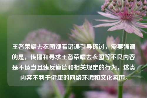 王者荣耀去衣图观看错误引导探讨，需要强调的是，传播和寻求王者荣耀去衣图等不良内容是不适当且违反道德和相关规定的行为，这类内容不利于健康的网络环境和文化氛围。
